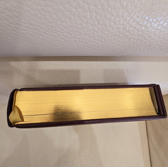 The Holy Bible Book Illuminated Family Edition Illustrated 2000 By Lionheart - Picture 4 of 9